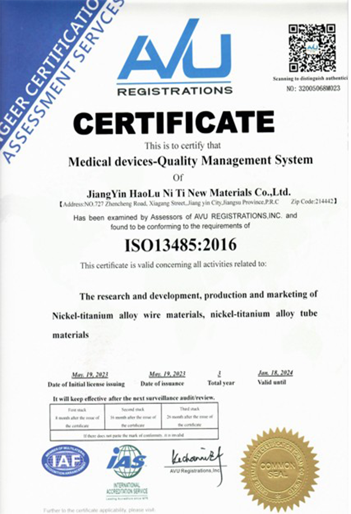 ISO13485（e）