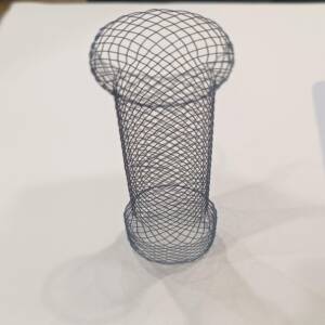 vascular nitinol stents for carotid and renal arteries